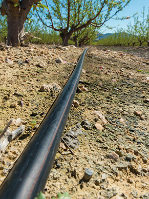 Micro-irrigation